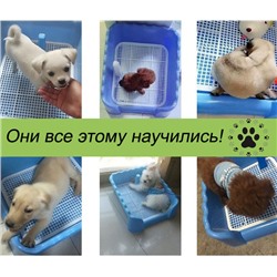Лоток-туалет для собак ТС-01 розовый