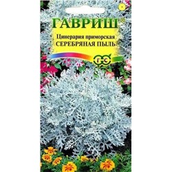 Семена Семена Цинерария Серебряная Пыль приморская, арт.: 5011