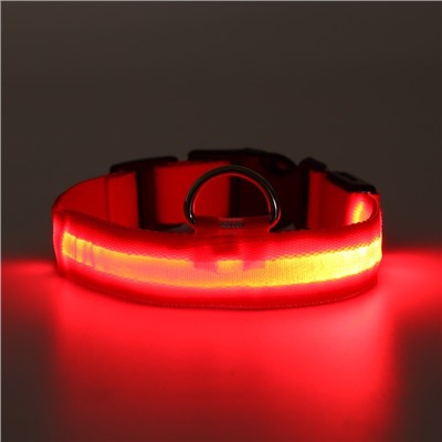 Ошейник с подсветкой размер XL, ОШ 52-60×2.5 см, 3 режима свечения красный
