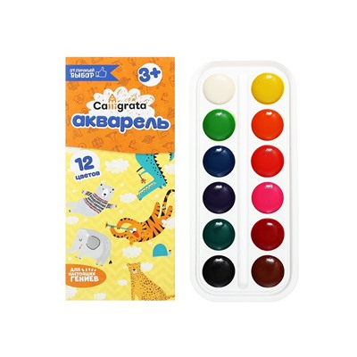 Акварель Calligrata, 12 цветов, без кисти, картон