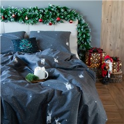 Постельное бельё "Этель" 1.5 сп Magic night 143х215 см, 150х214 см, 70х70 см - 2 шт, бязь