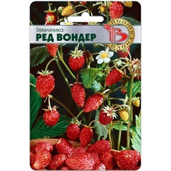 Земляника Ред Вондер