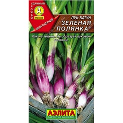 0490 Лук батун Зеленая полянка 0,3гр