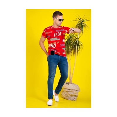 Футболка мужская #017703950