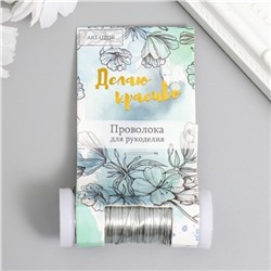 Проволока для творчества "Серебро" 30 метров, толщина 0,3 мм 5,5х2,2х2,2 см   7867479