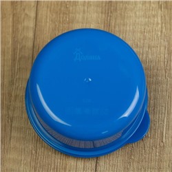 Ланч - бокс новогодний «Тюлень», 150 мл