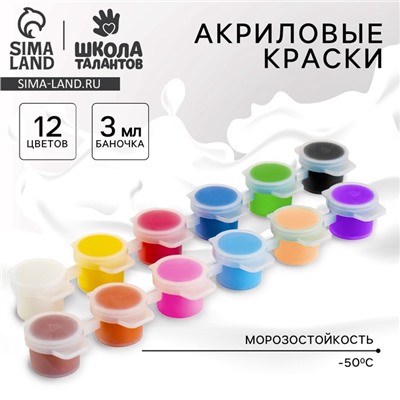 Краска акриловая «Яркость цветов», 12 цветов