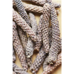 Перец Пиппали Лонгум (longum)