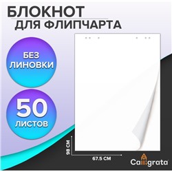 Блокнот для флипчарта, 67.5×98 см, 50 листов белый, 92%, 80 г/м², Calligrata