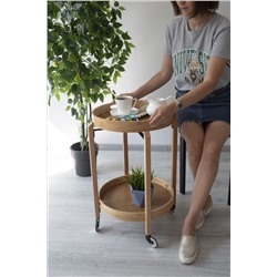 Сервировочный cтолик SHT-CT63
                        прозрачный лак