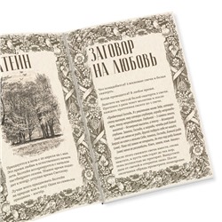 Таро «Праздник года» и Книга Магии, 78 карт (6х11 см), 16+