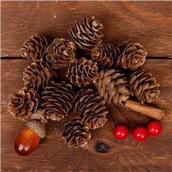 Новогодний декор «Пряные шишки»