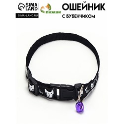 Ошейник "Котята", 40 х 1,5 см, черный