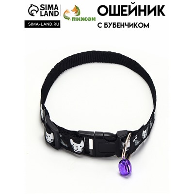 Ошейник "Котята", 40 х 1,5 см, черный