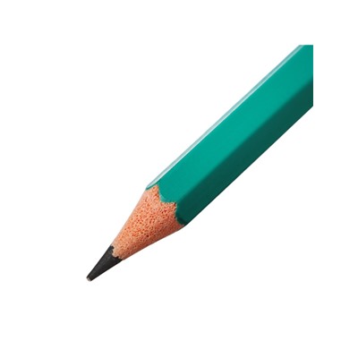 Набор карандашей чернографитных 12 штук, Calligrata Classic, заточенные, пластик, трехгранные, зеленые
