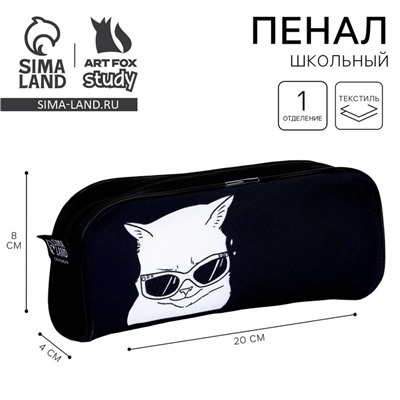 Пенал школьный текстильный «Дай списать», 20×8×4 см