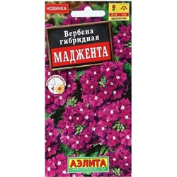 Вербена Маджента