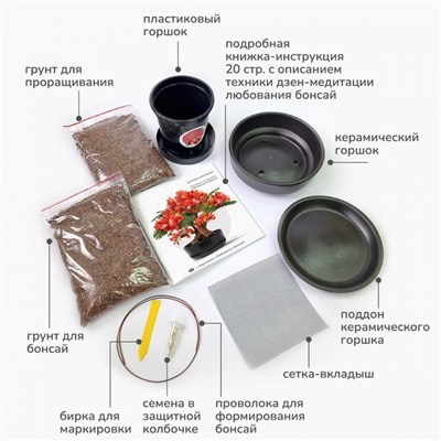 Набор д/создания бонсай "Сад Радости", "Делоникс королевский"