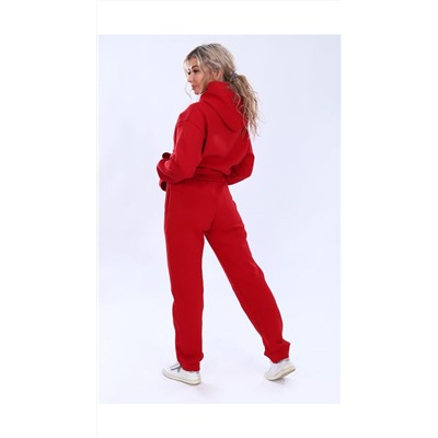 Брюки женские из футера с начесом #029501472