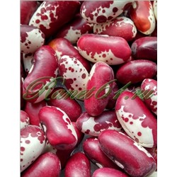 Фасоль Ласточка (0,5кг)