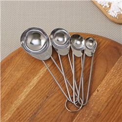 Набор мерных ложек Доляна «Металлик», 4 шт.: 1.25/2.5/5/15 мл, серебристый
