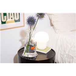 Ваза Goldfish, 22 см