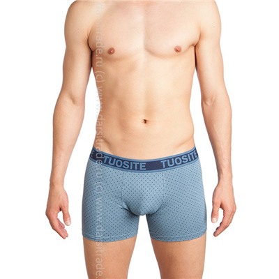 TS7823-2 Трусы мужские Дроп Tousite боксеры