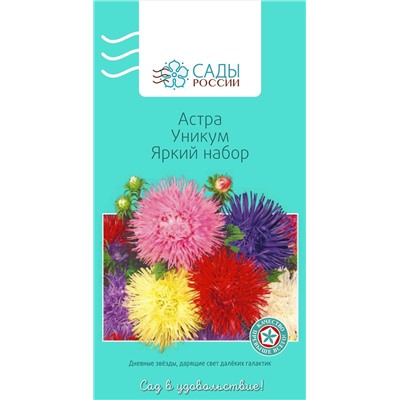 Астра Игольчатая Уникум Яркий набор, арт.: 2284