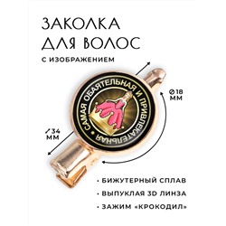 HZF-0112 Заколка Самая обаятельная и привлекательная
