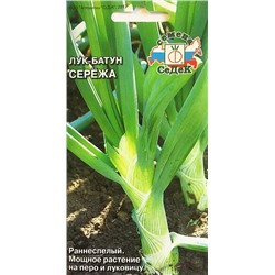 Семена Лук батун Серёжа, арт.: 922