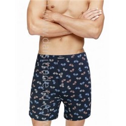 Трусы мужские GB7826H Gentlemen боксеры