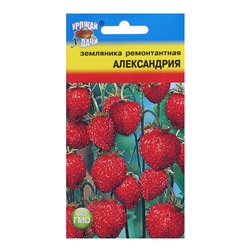 Семена Земляника "Александрия" рем.,0,04 гр