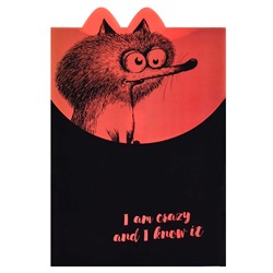 Папка на липучке А4 КРЭЙЗИ БЕЛКА пластик Феникс+ 60450/12/Китай