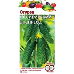 Семена Огурец Сибирский экспресс F1, арт.: 2290
