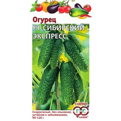 Семена Огурец Сибирский экспресс F1, арт.: 2290