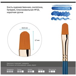 Кисть художественная синтетика Гамма "Галерея", плоскоовальная №10, короткая ручка