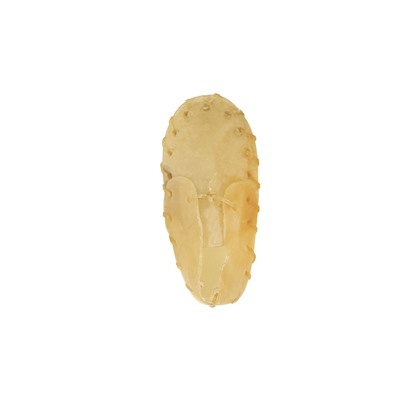 Ботинок вкусный, 13,5см (уп.1шт.), серия DENTAL