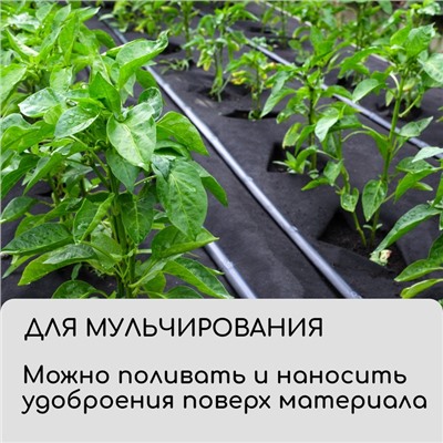 Материал для ландшафтных работ, 10×3.2 м, плотность 90 г/м², спанбонд с УФ-стабилизатором, чёрный, Greengo, Эконом 30%