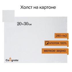Холст на картоне Calligrata, хлопок 100%, 20×30 см, 3 мм, акриловый грунт, мелкое зерно, 280 г/м²