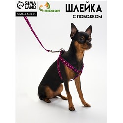 Комплект "Классика", поводок 120 х 1 см, ОГ 28-47 см, фиолетовый