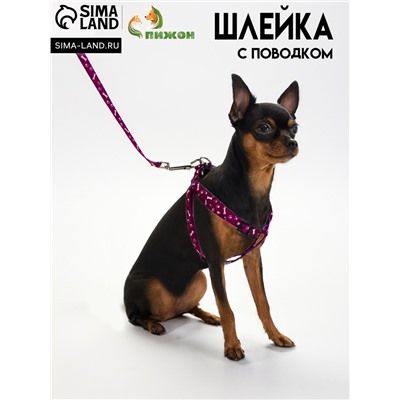 Комплект "Классика", поводок 120 х 1 см, ОГ 28-47 см, фиолетовый
