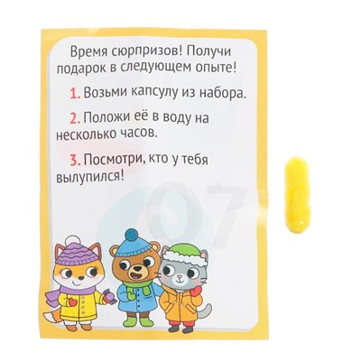 Новый год. Набор для опытов 13 дней «Новогодний адвент-календарь», 13 опытов