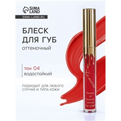Блеск для губ оттеночный, водостойкий, 6.5 г, оттенок №4