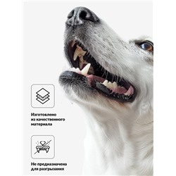 Игрушка пищащая "Теннисный мяч" для собак, 7,5 см, зелёная