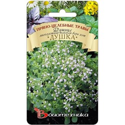 Душица Душка (многолетний майоран Вери хот)