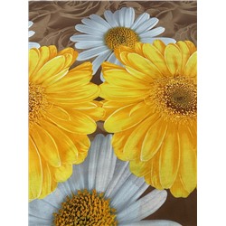 Постельное белье поплин Иваново / Флоранс