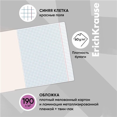Тетрадь 48 листов в клетку ErichKrause Cyberpunk, обложка мелованный картон, металлизированная ламинация, твин-лак, блок офсет 100% белизна, МИКС