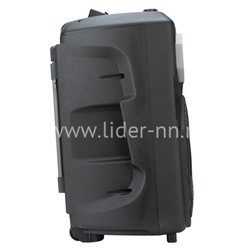 Колонка 12" (30-40 CRAZY BOX 800) динамик 1шт/12" ELTRONIC с TWS