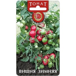 Семена Томат Вишня Зимняя, арт.: 9555