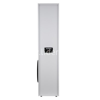 Колонка 10" (30-58 HOME SOUND) динамик 6шт/2х10"; 2х6.5"; 2х3" комплект 2 колонки ELTRONIC (белая)